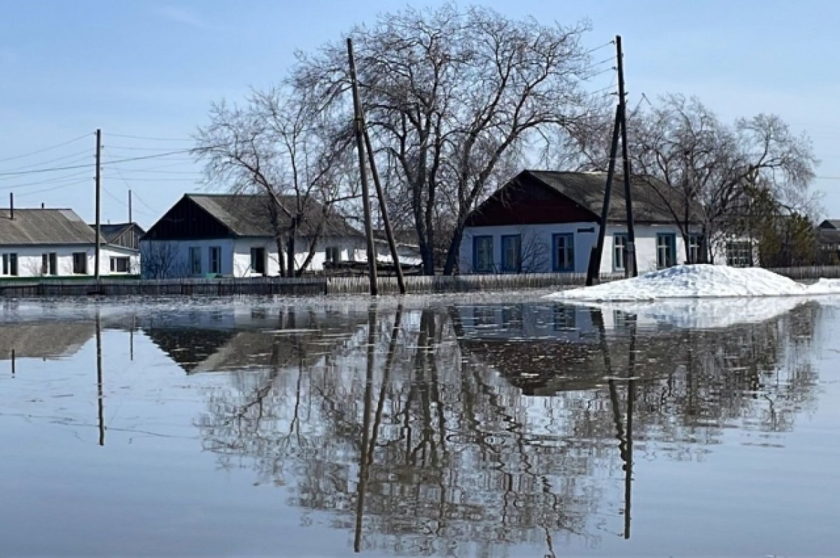 В Омской области полицейские следят, чтобы из затопленных домов не воровали  | АиФ-Омск | Дзен