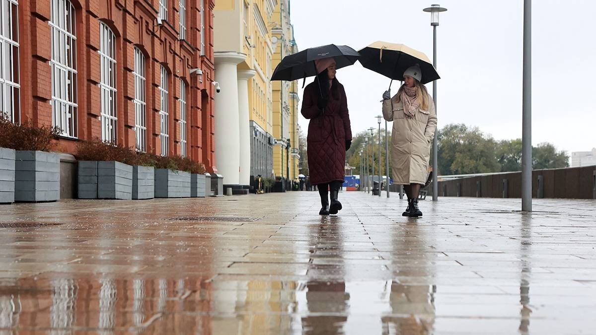    Фото: Ярослав Чингаев / АГН Москва