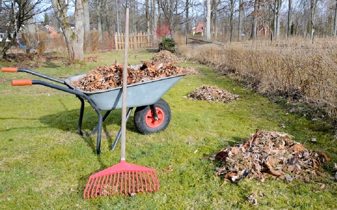 Фото из открытых источников интернета 