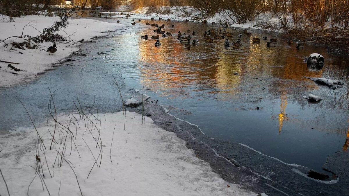     В селе Новобулгаково водой затопило двор и несколько подъездов. Об этом рассказал местный житель телеграм-каналу «БашДТП».