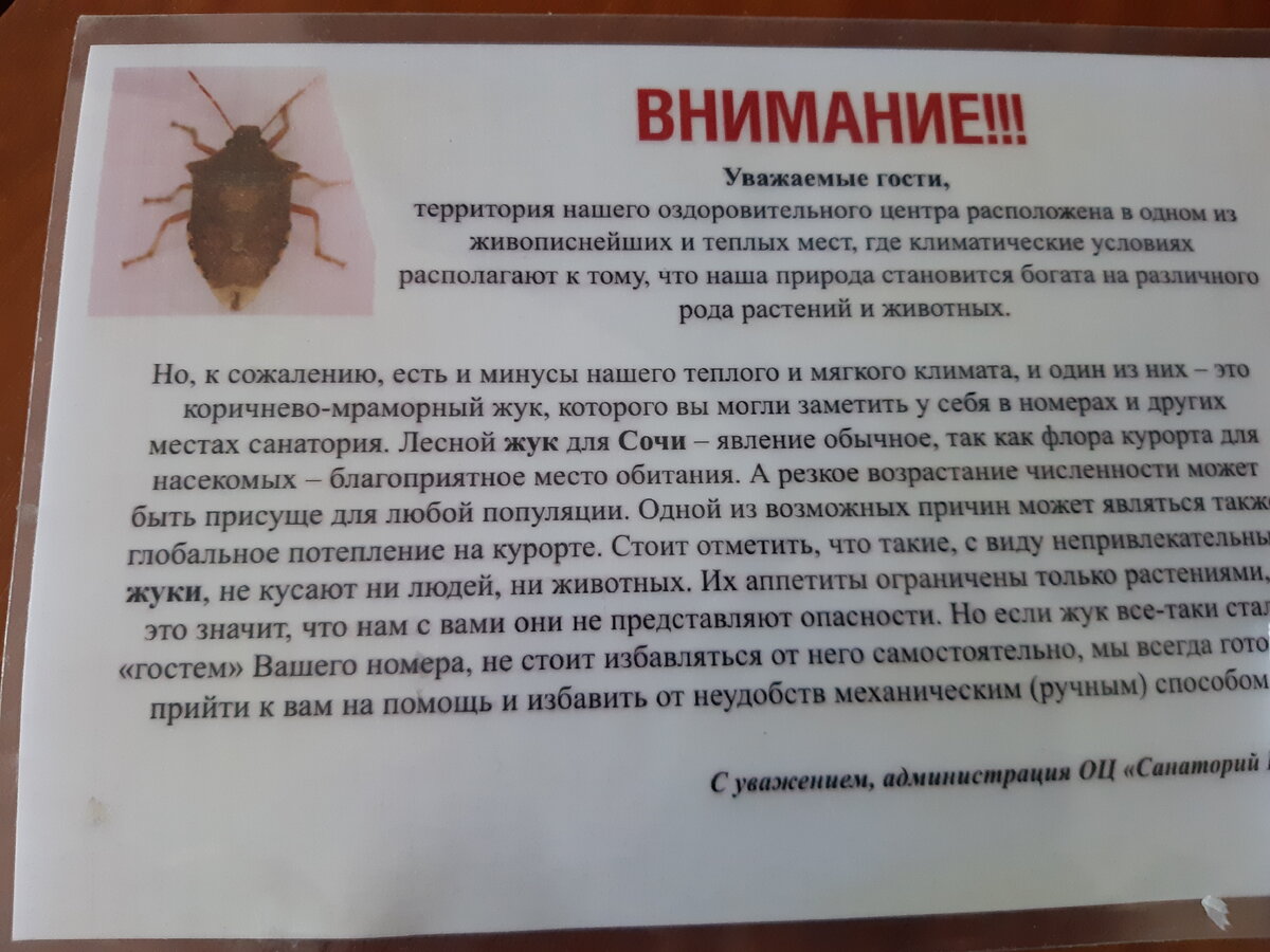 Фото автора листовки о жуке