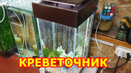 Креветочник своими руками