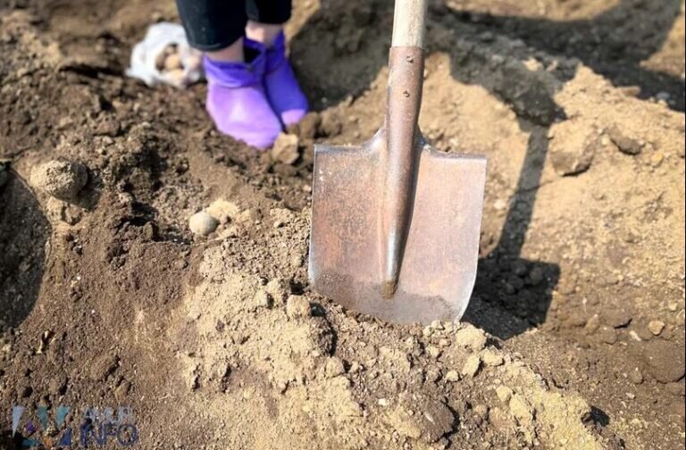    Фото: Амур.инфо