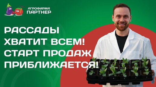 СЕКРЕТЫ КАЧЕСТВЕННОЙ РАССАДЫ ОТ ПРОИЗВОДИТЕЛЯ