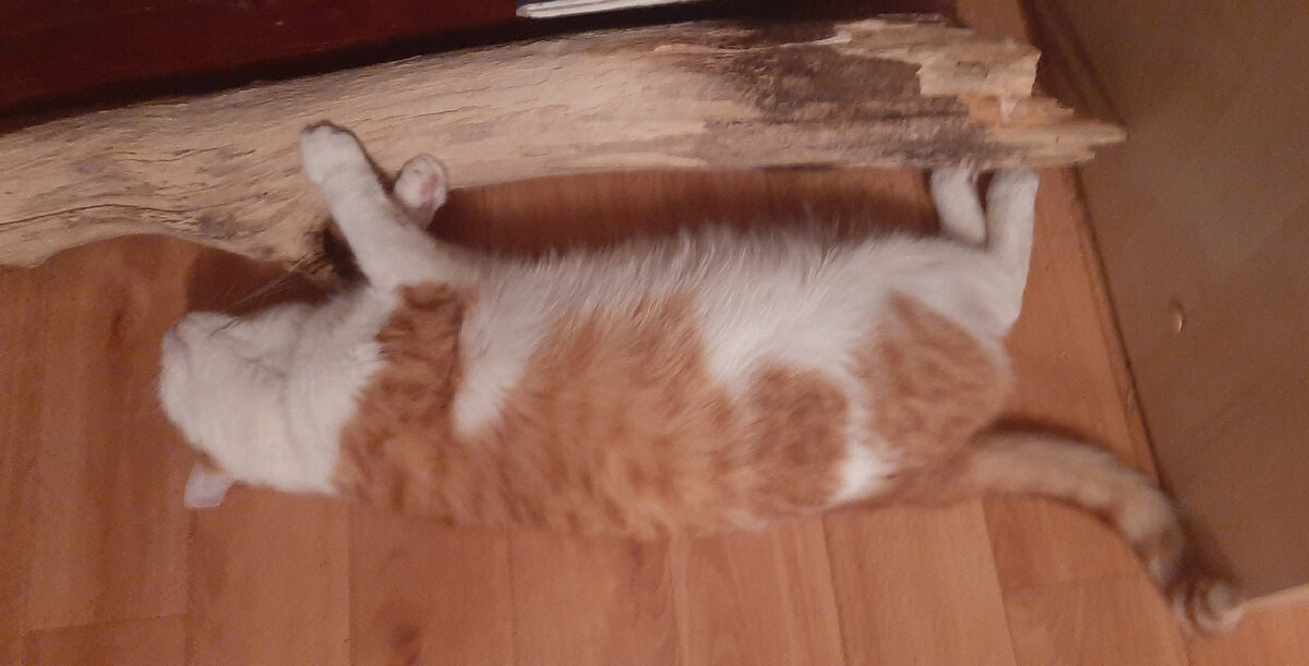 От уборки устали все