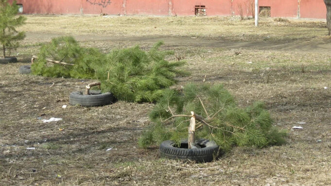 Листайте вправо, чтобы увидеть больше изображений