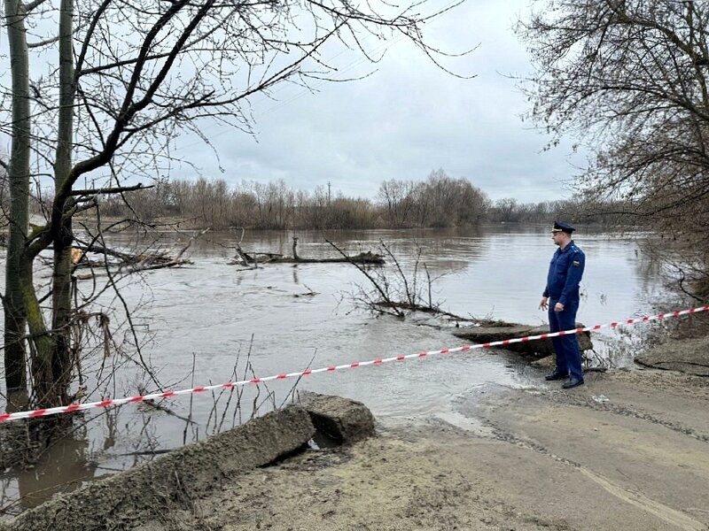    Фото: пресс-служба прокуратуры Пензенской области