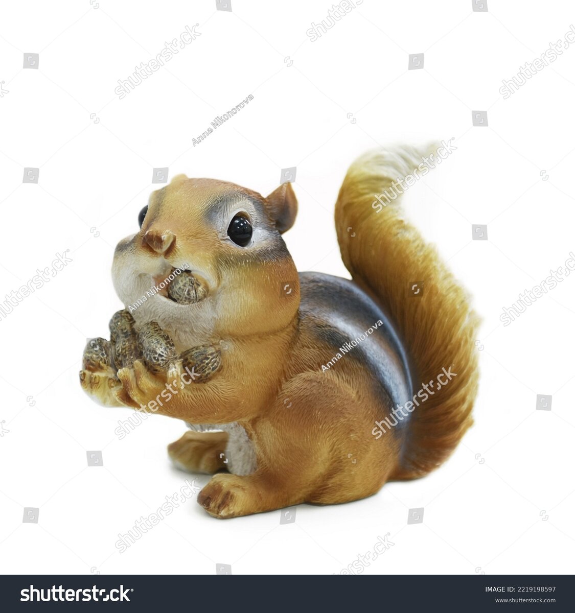 фото автора с фотостока