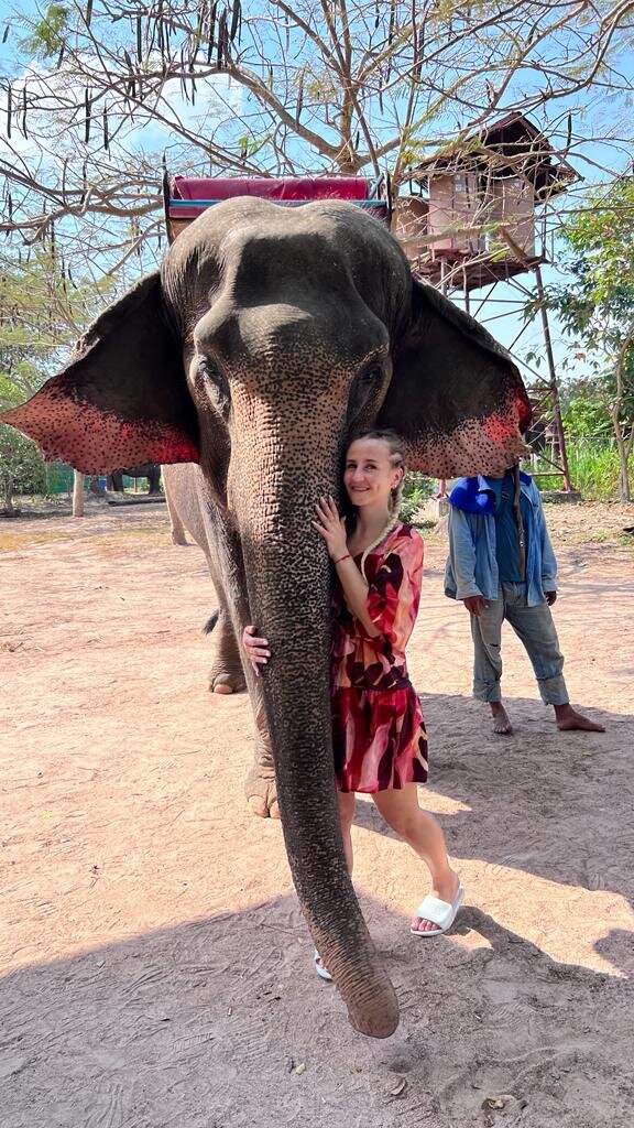 Обнимашки с слонами 