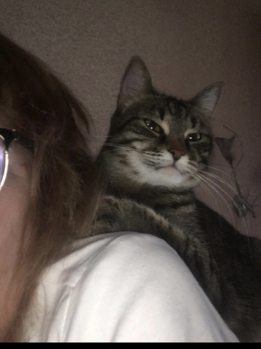 Дуня против!