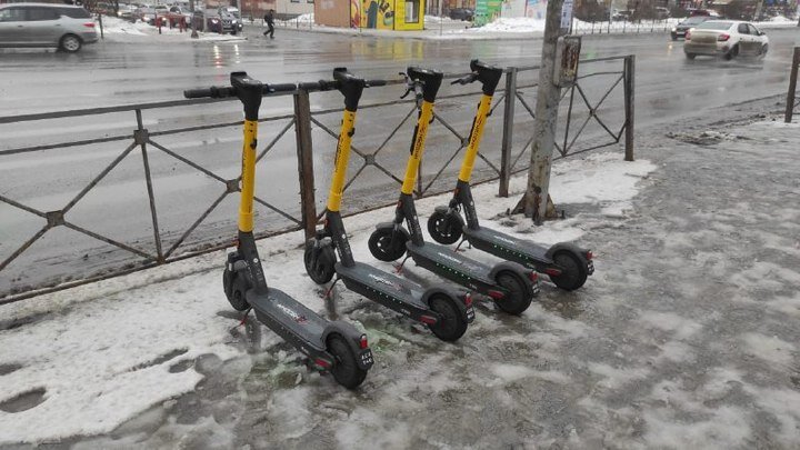 фото: скриншот Царьград Новосибирск
