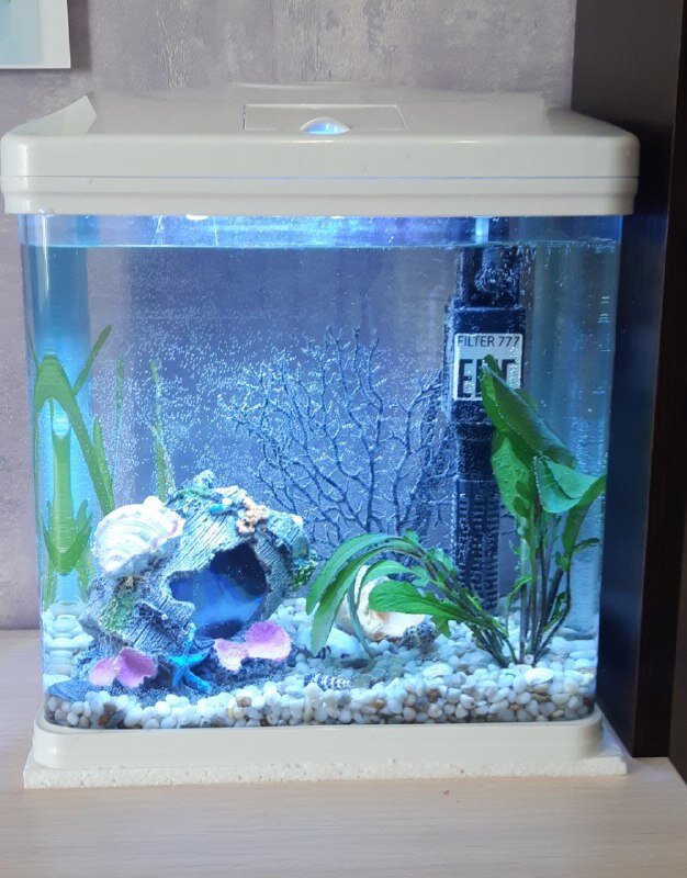 аквариум Barbus 9 литров с фильтром, аэрацией и светом