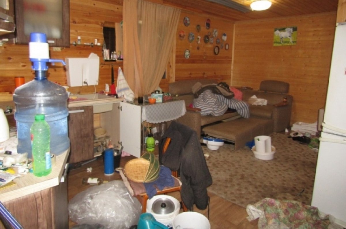    «Обнес» пенсионерку: из дачного домика самарец стащил бытовые приборы