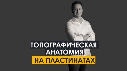 Топографическая анатомия на пластинатах