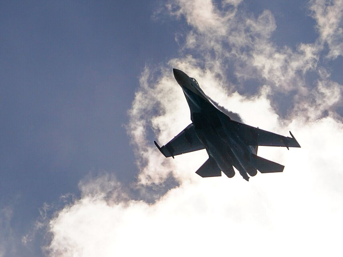    Мероприятия к 30-летию пилотажных групп "Русские Витязи" и "Стрижи"© РИА Новости . Александр Вильф