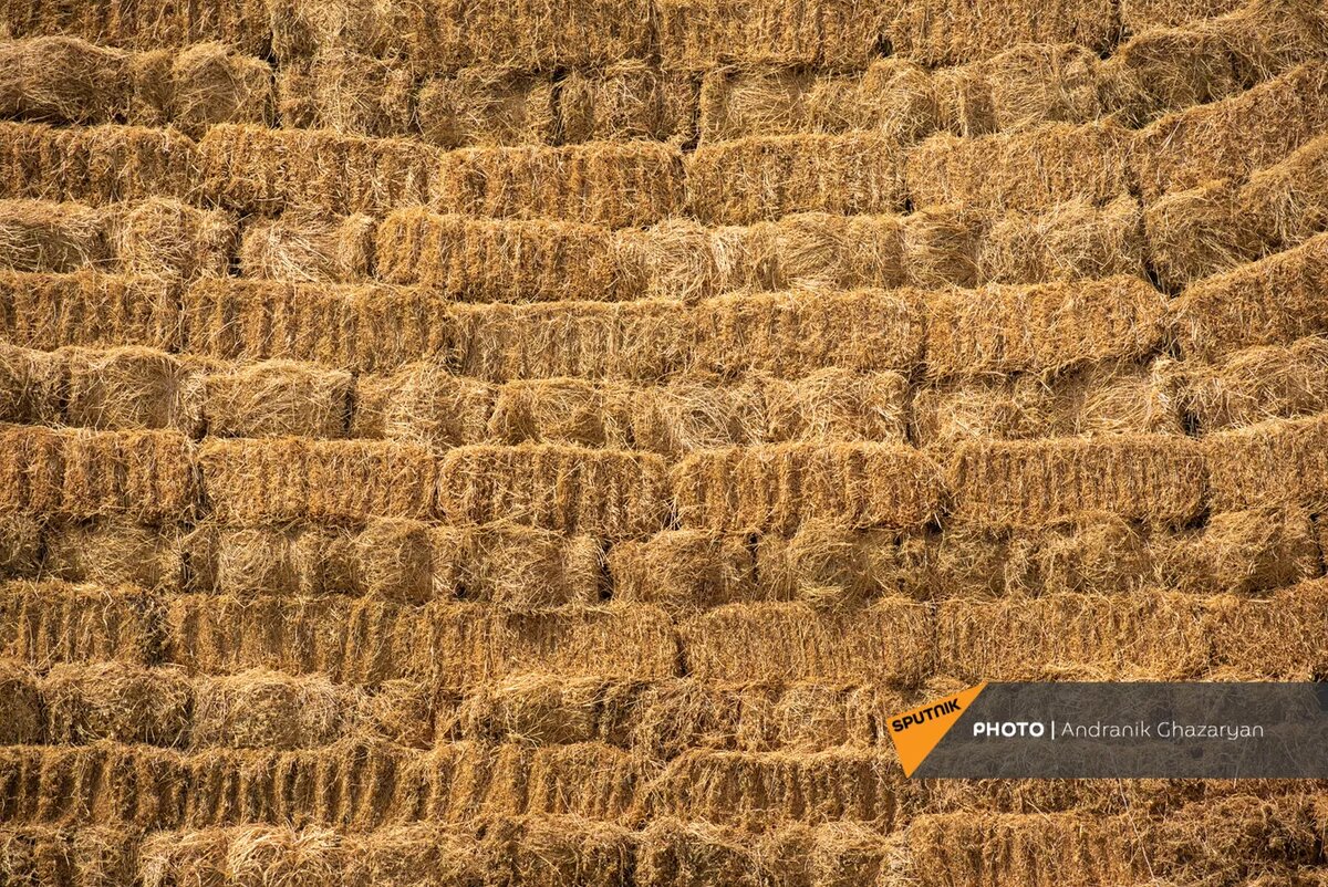 © Sputnik / Andranik Ghazaryan