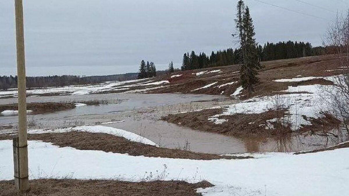 Паводок в Удмуртии: уровень воды незначительно поднялся только в реках Вала  и Адамка | udm-info.ru | Дзен