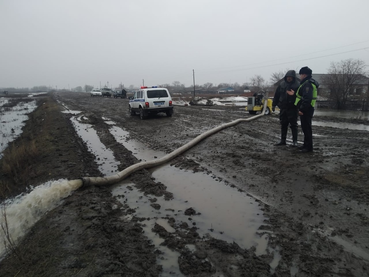 Омиские полицейские оказывают всевозможную помощь жителям районов в  сложившийся обстановки | Полиция. Омск | Дзен