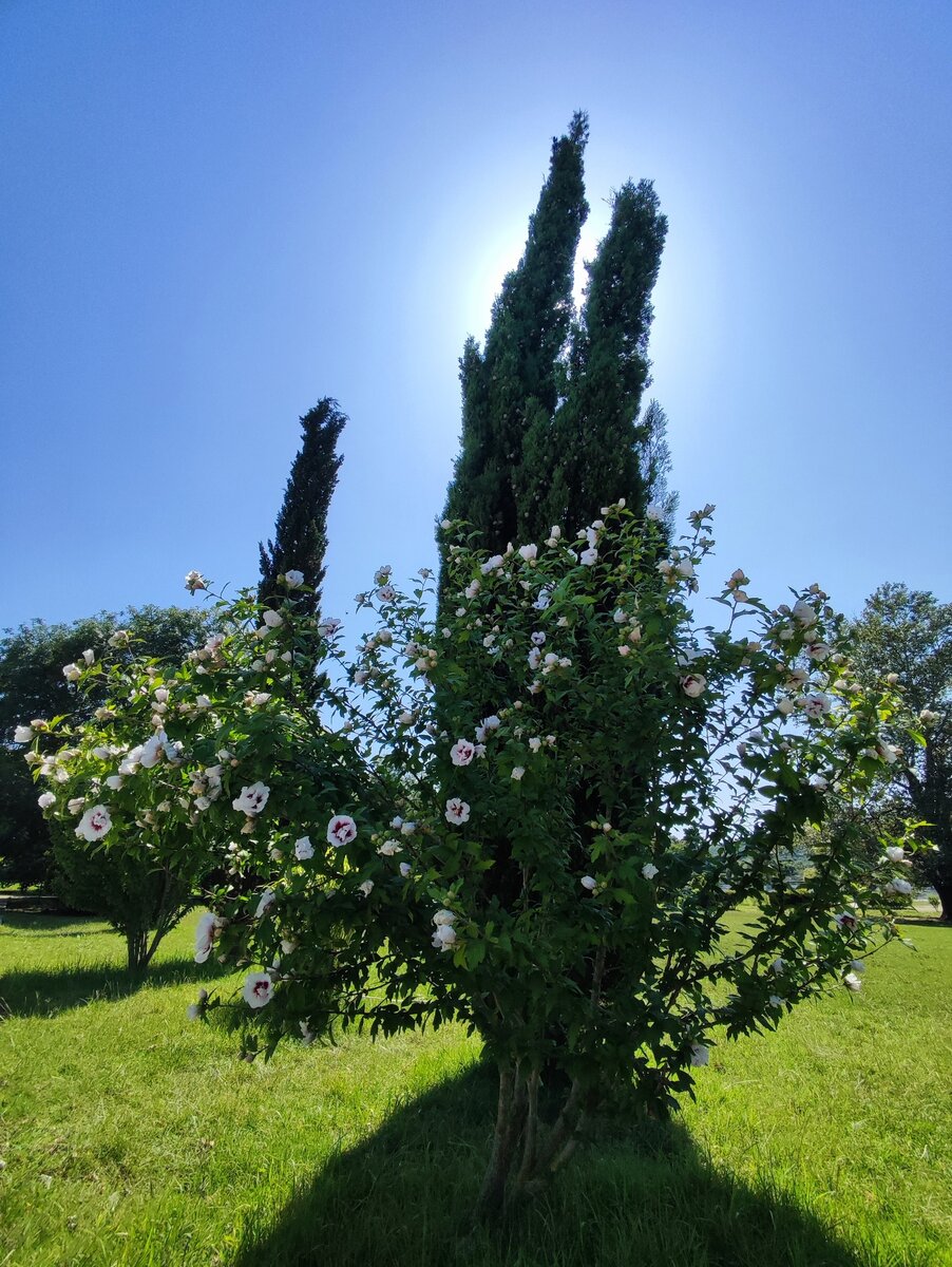 Территория