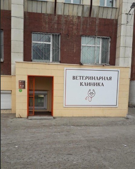 Зоосервис плюс ул красной звезды 51а фото