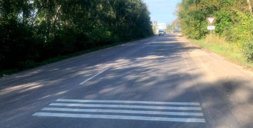    Фото ГИБДД Воронежской области.