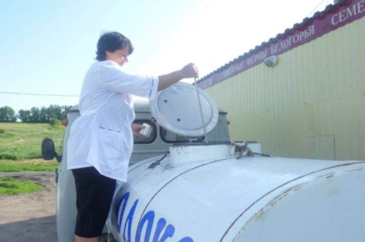    Вячеслав Гладков: «Минсельхоз принимает заявки на гранты семейным фермам»