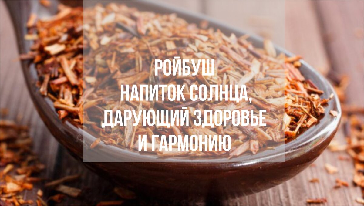 Ройбуш, южноафриканский напиток, являющийся замечательной альтернативой чаю