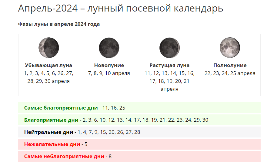 Лунный календарь посадки клубники в августе