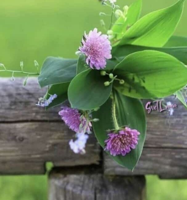 Фото из интернета 