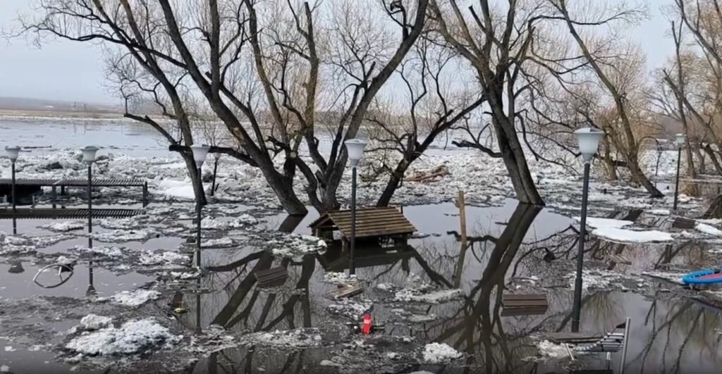    Фото: скрин видео телеграм-канала «Троицк МК» Наталья Савченко