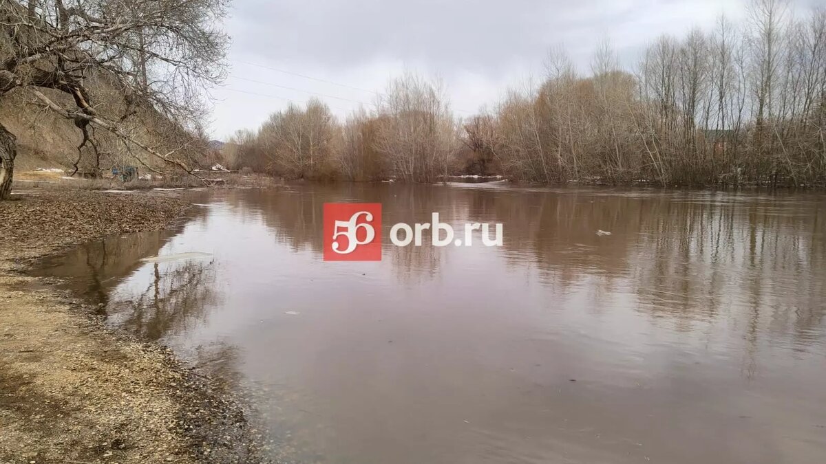 Чего ждать от Сакмары: ударит ли таяние снега в горах Башкирии по  Оренбургу? | 56orb.ru | Дзен