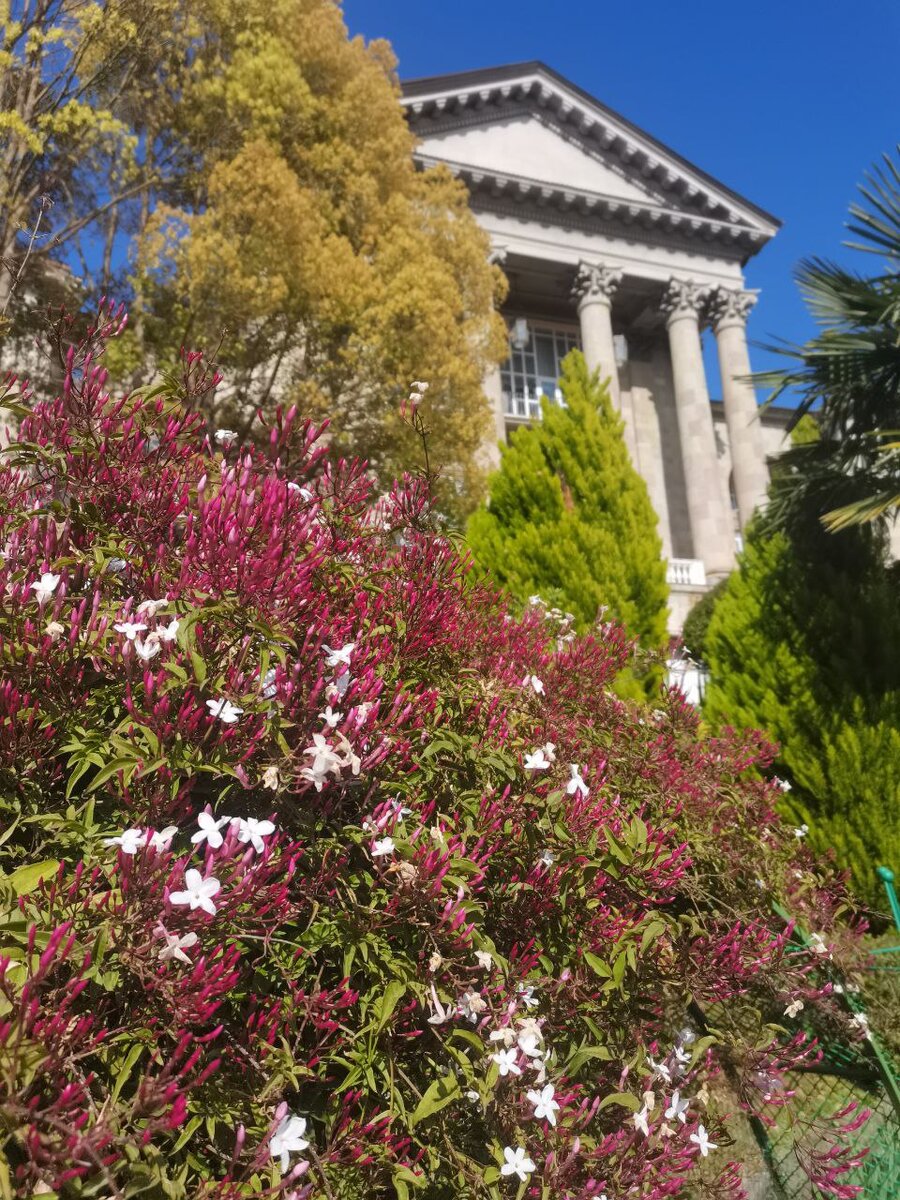 Территория санатория "Металлург"