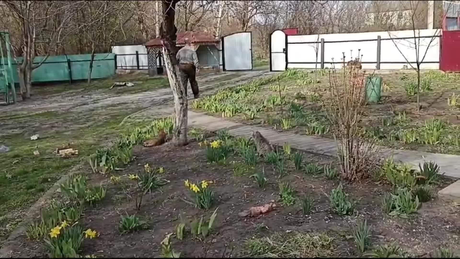 Родители приехали к нам. Купили дом. | Белый город. Переезд | Дзен