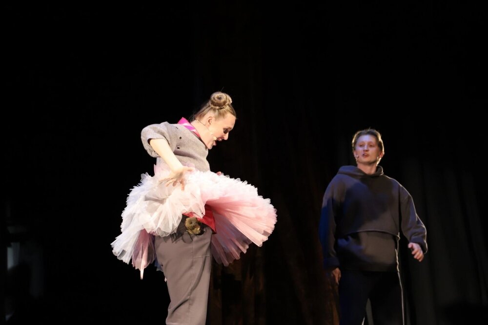    Мышка Помина мечтала стать балериной. Фото: Предоставлено организаторами