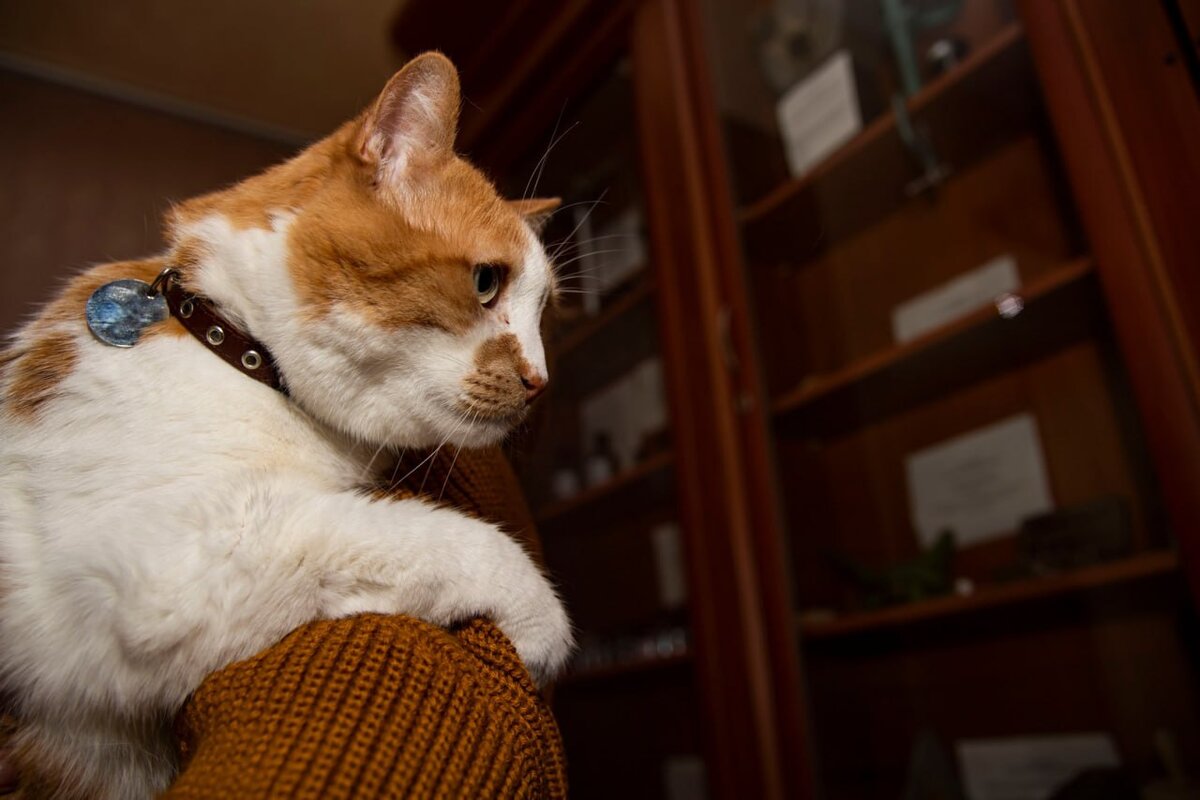 Я к вам с новым репортажем!