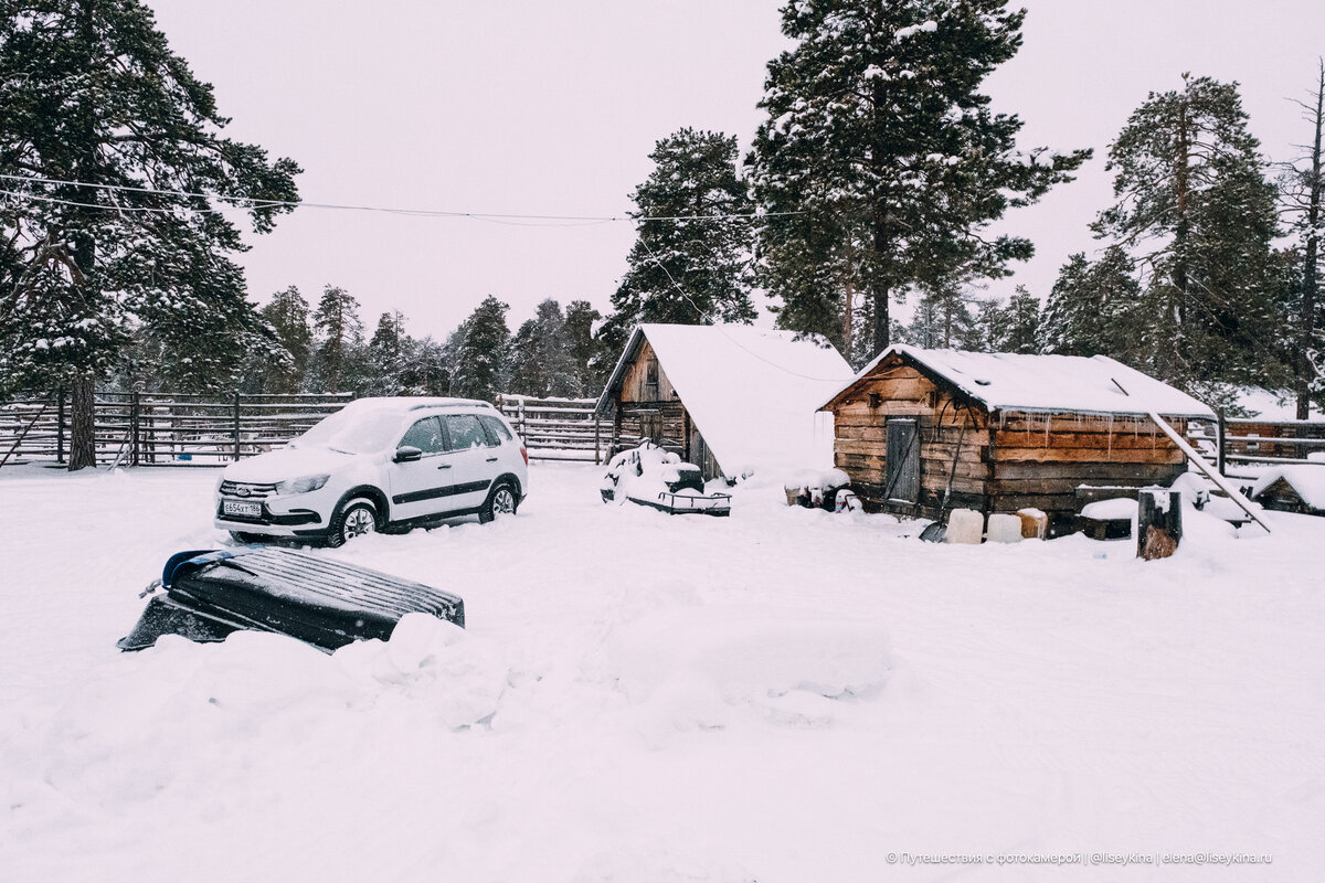В стойбище ханты. Дорог тут нет. Зимой приезжают только на снегоходах. До ближайшего посёлка — сотня километров тайги.