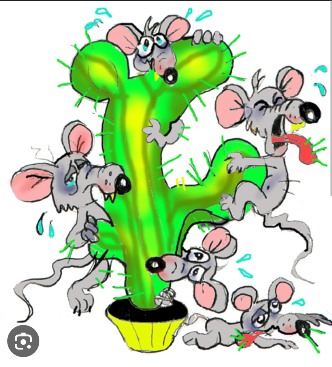 Фото из свободного доступа в интернете