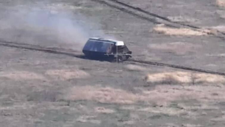 Фото: соцсети