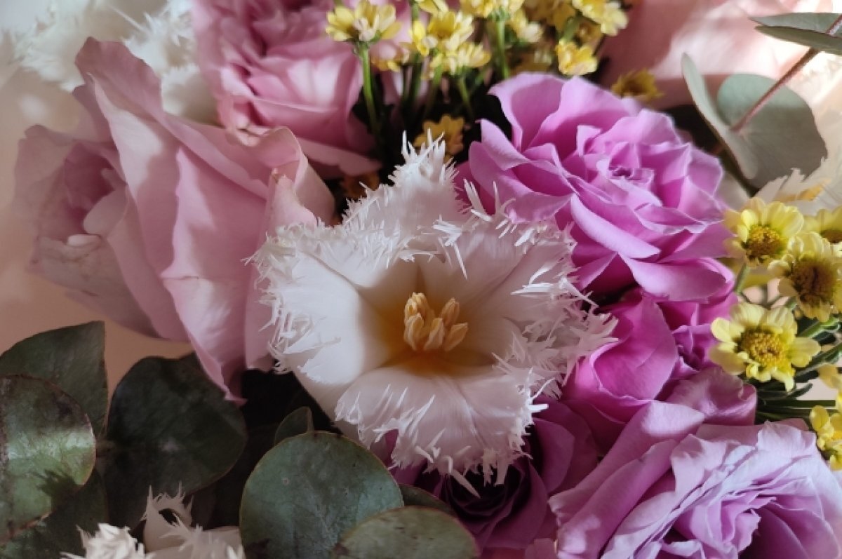    В Тверской области 100 лет исполнилось ветерану ВОВ Александре Ловцовой