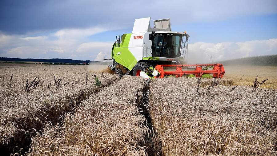 Фото: TASS/EPA/Darek Delmanowicz