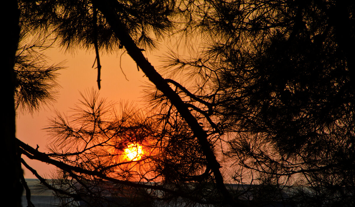 Фото автора статьи