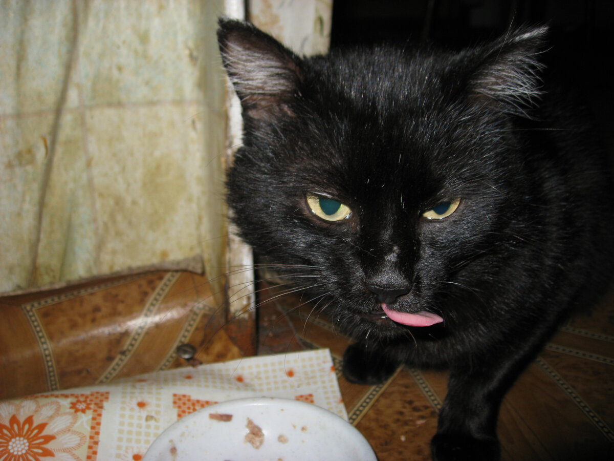 Вот он, Суслик. Фото автора