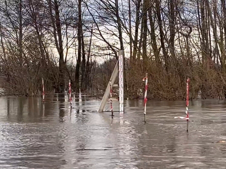     Фотоархив МК