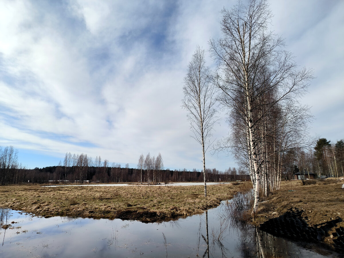 Maksim Konstantinov/Global Look Press