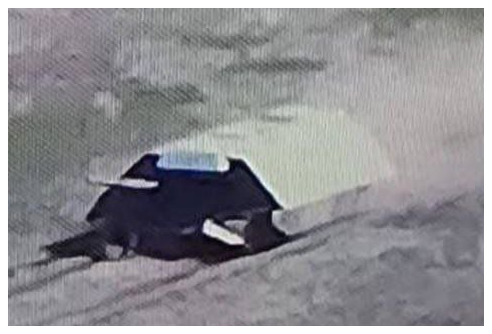 Стоп-кадр из видео.