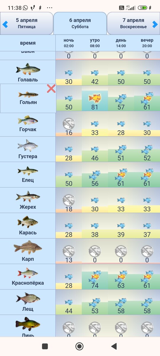 Прогноз клёва обещал неплохую активность рыбы.