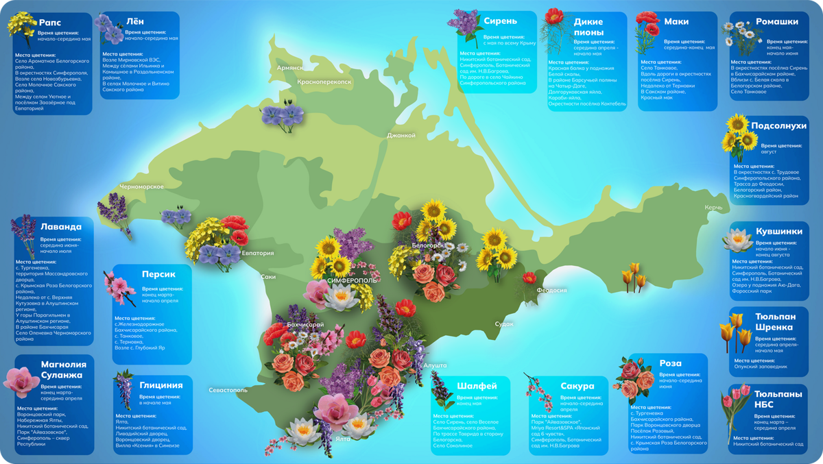 В Крыму создали карту и календарь цветения | Радио Крым | Дзен