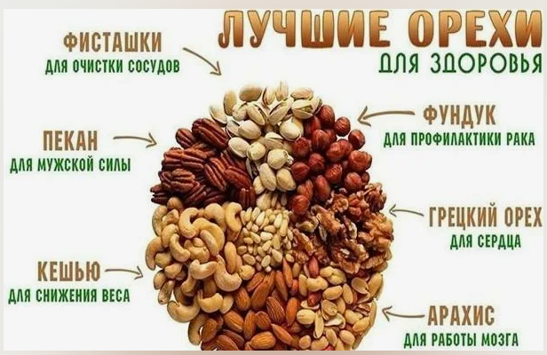 Какие орехи полезнее всего. Витамины в орехах. Самые полезные орехи. Витамины содержащиеся в орехах. Самые полезные орехи для организма.