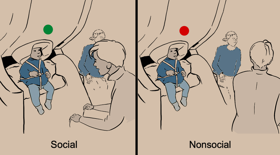   N+1; Alexis N. Bosseler et al. / Current Biology, 2024