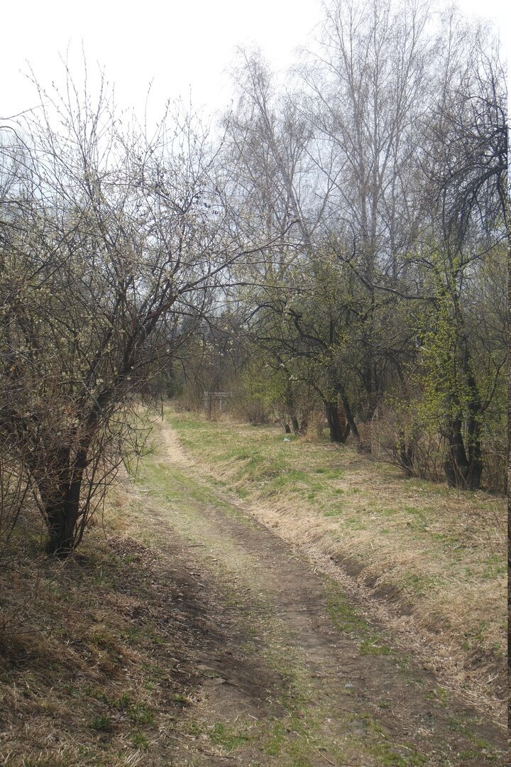 Амурское кладбище в мае